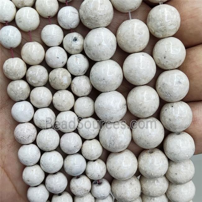 Natural River Fossil Beads Smooth Round White