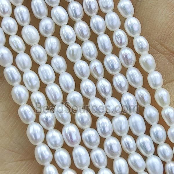 white Freshwater Pearl rice Beads