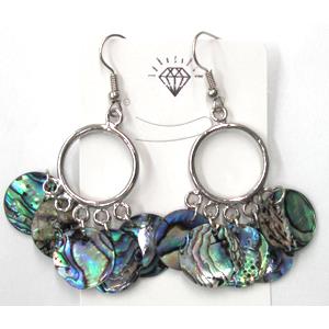 Paua Abalone shell earring, mxied