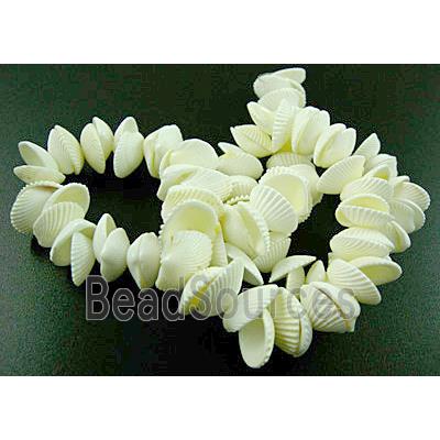 White Conch beads