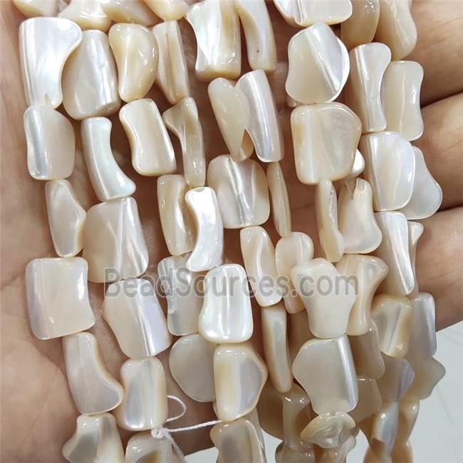 Coffee Sea Shell Beads Freeform Natural Color