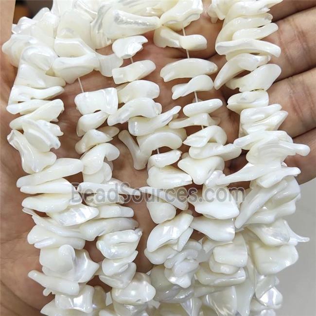 White Sea Shell Beads Freeform