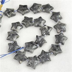 Natural Black Larvikite Labradorite Star Beads, approx 20mm