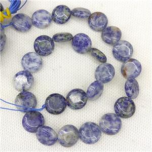 Natural Blue Dalmatian Jasper Coin Beads, approx 15mm