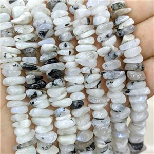 Natural White Moonstone Beads Chips Freeform, approx 7-11mm