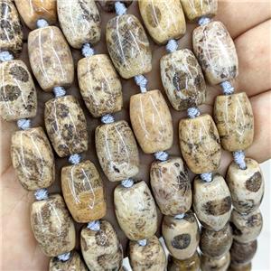 Natural Coral Fossil Barrel Beads, approx 12-16mm