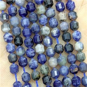 Natural Blue Sodalite Beads Prism, approx 4mm