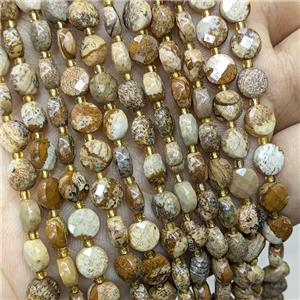 Natural Picture Jasper Beads Faceted Coin, approx 6mm