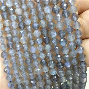 Natural Labradorite Beads Gray Faceted Round, approx 5.5mm