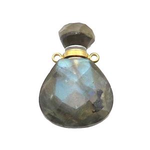 Natural Labradorite Perfume Bottle Pendant, approx 17-24mm