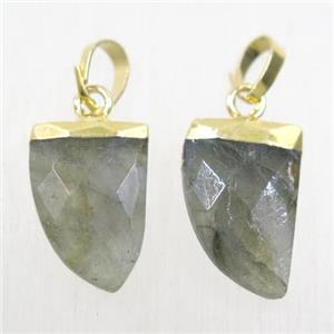 Labradorite horn pendants, gold plated, approx 10-15mm