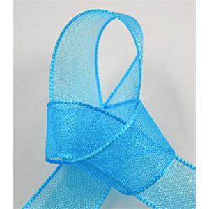 aqua Organza Ribbon Cord, 25mm wide