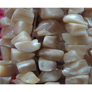 Fresh water shell bead, freeform, approx 5-13mm