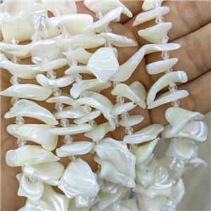 White MOP Shell Slice Beads Freeform, approx 12-20mm